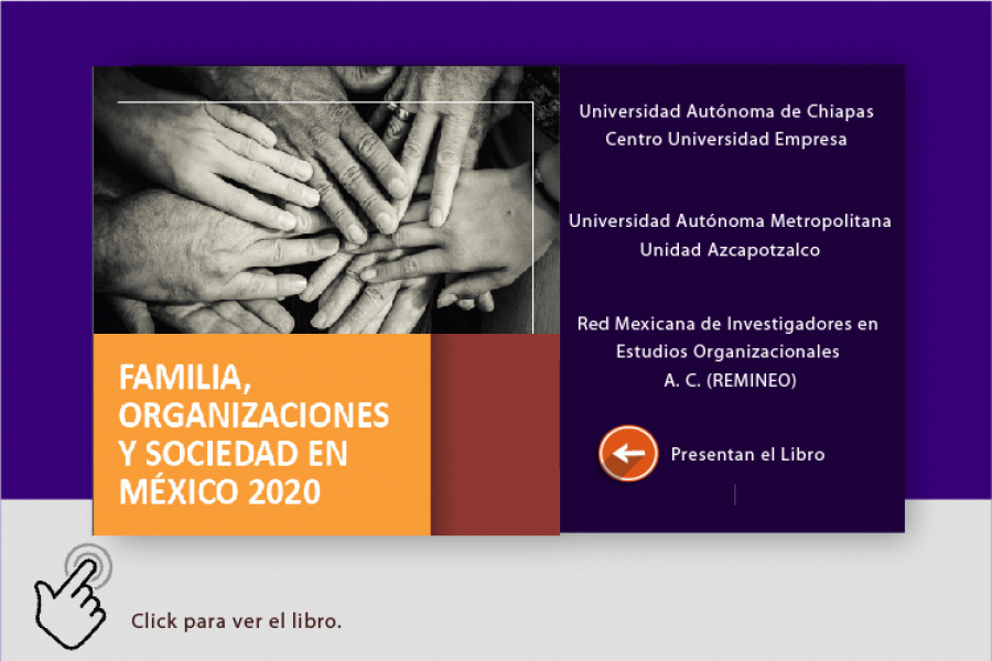 FAMILIA, ORGANIZACIONES Y SOCIEDAD EN MÉXICO 2020